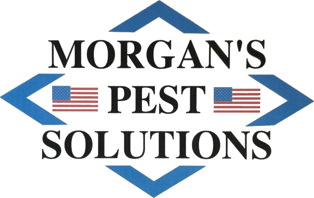 Morgan Pest Control